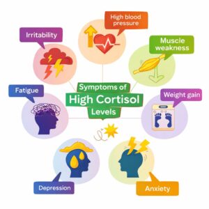 cortisol